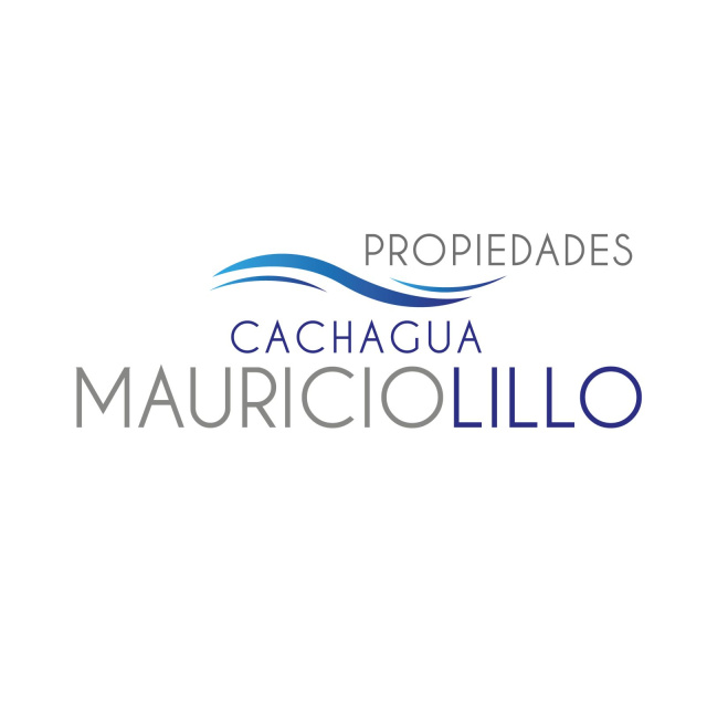 Mauricio Lillo