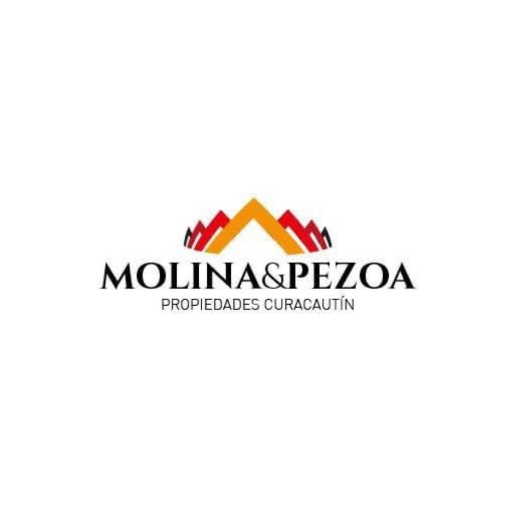 Luis Molina logo
