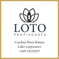 Loto Propiedades