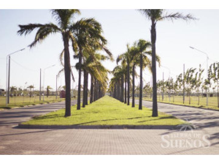 Terrenos - San Lorenzo - Venta