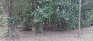 Terrenos - Roldan - Venta