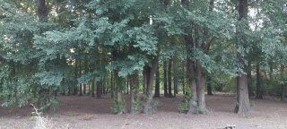 Terrenos - Roldan - Venta