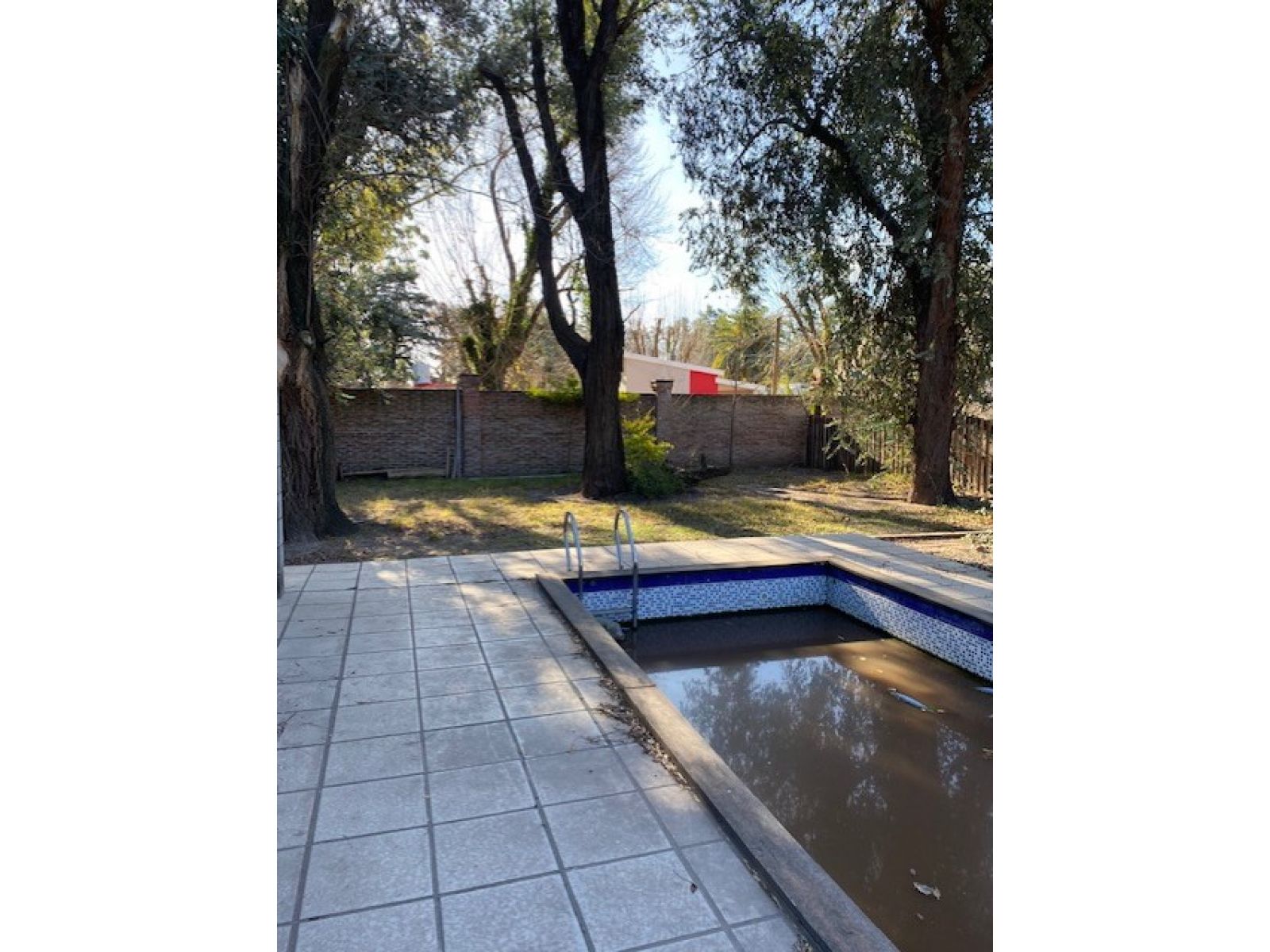DR. REGULES Nº 495 - RICARDONE — foto 2