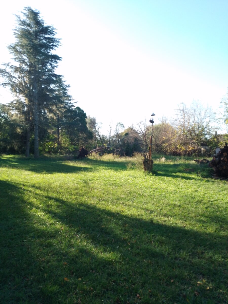 Venta de casa con pileta y gran parque en Villa La Ribera — foto 9