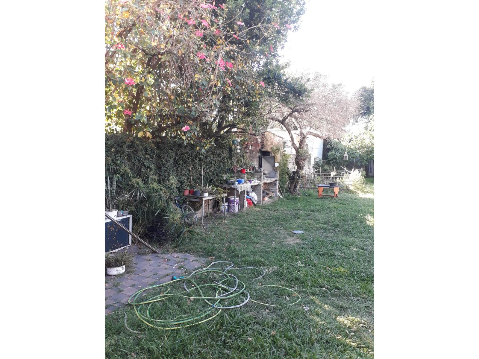 Venta Casa 2 dormitorios Washington N°966 - 12