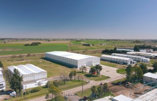 Galpones / Depósitos - Alvear - Alquiler