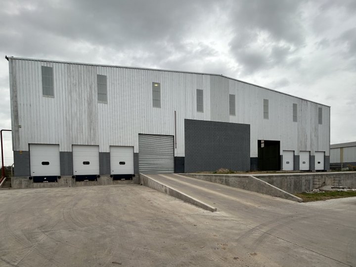 Galpones / Depósitos - Alvear - Alquiler