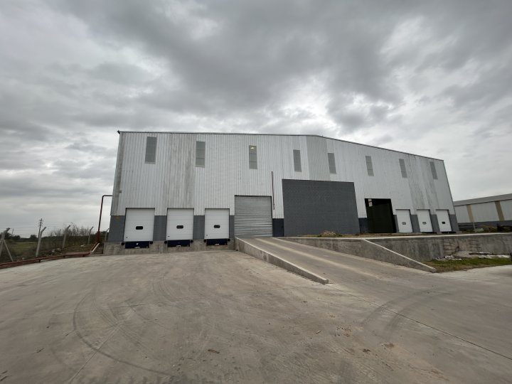 Galpones / Depósitos - Alvear - Alquiler