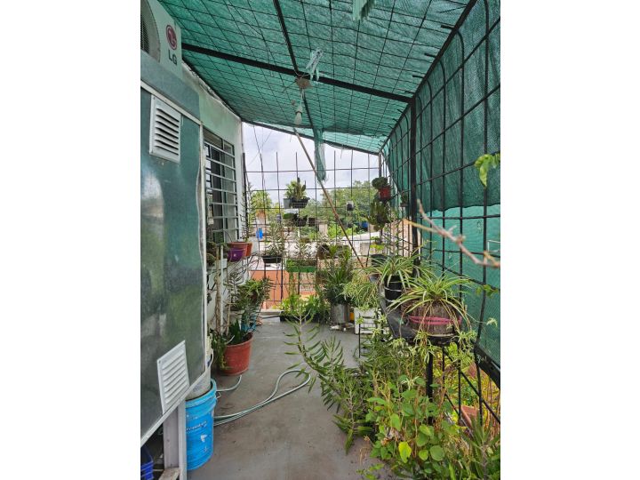 Casas - San Lorenzo -  Alquiler