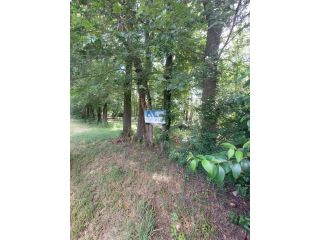 Terrenos - Roldan - Venta