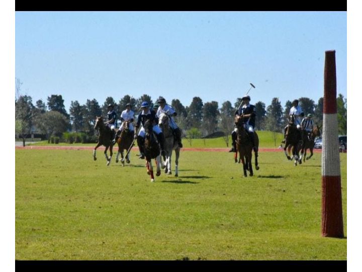 Terrenos - Ibarlucea - Venta