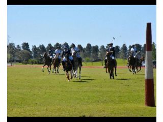 Terrenos - Ibarlucea - Venta