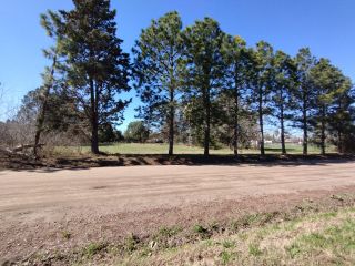 Terrenos - Roldan - Venta