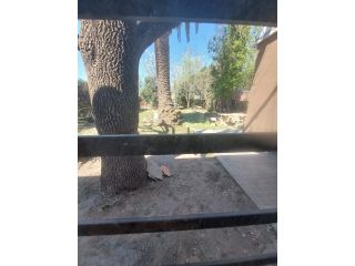 Casas - Funes - Venta