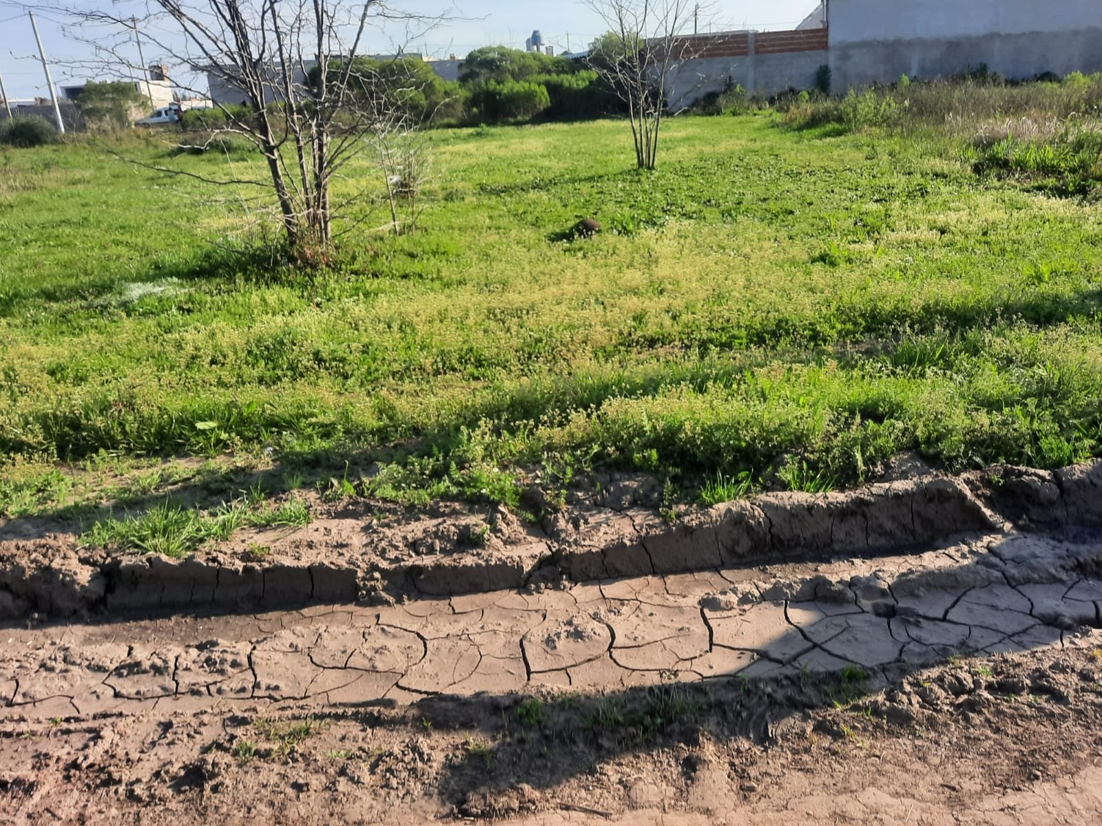 Lote/terreno — foto 2