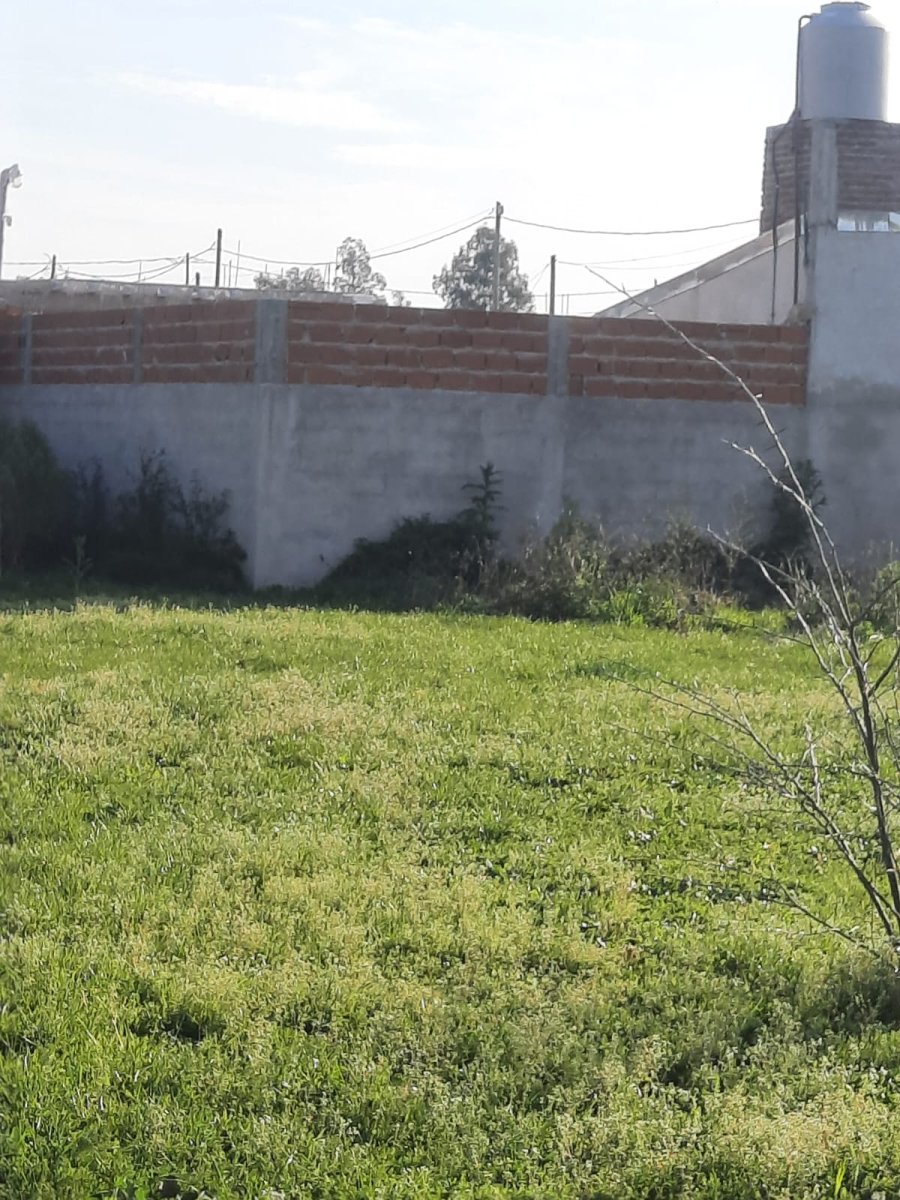 Lote/terreno — foto 7