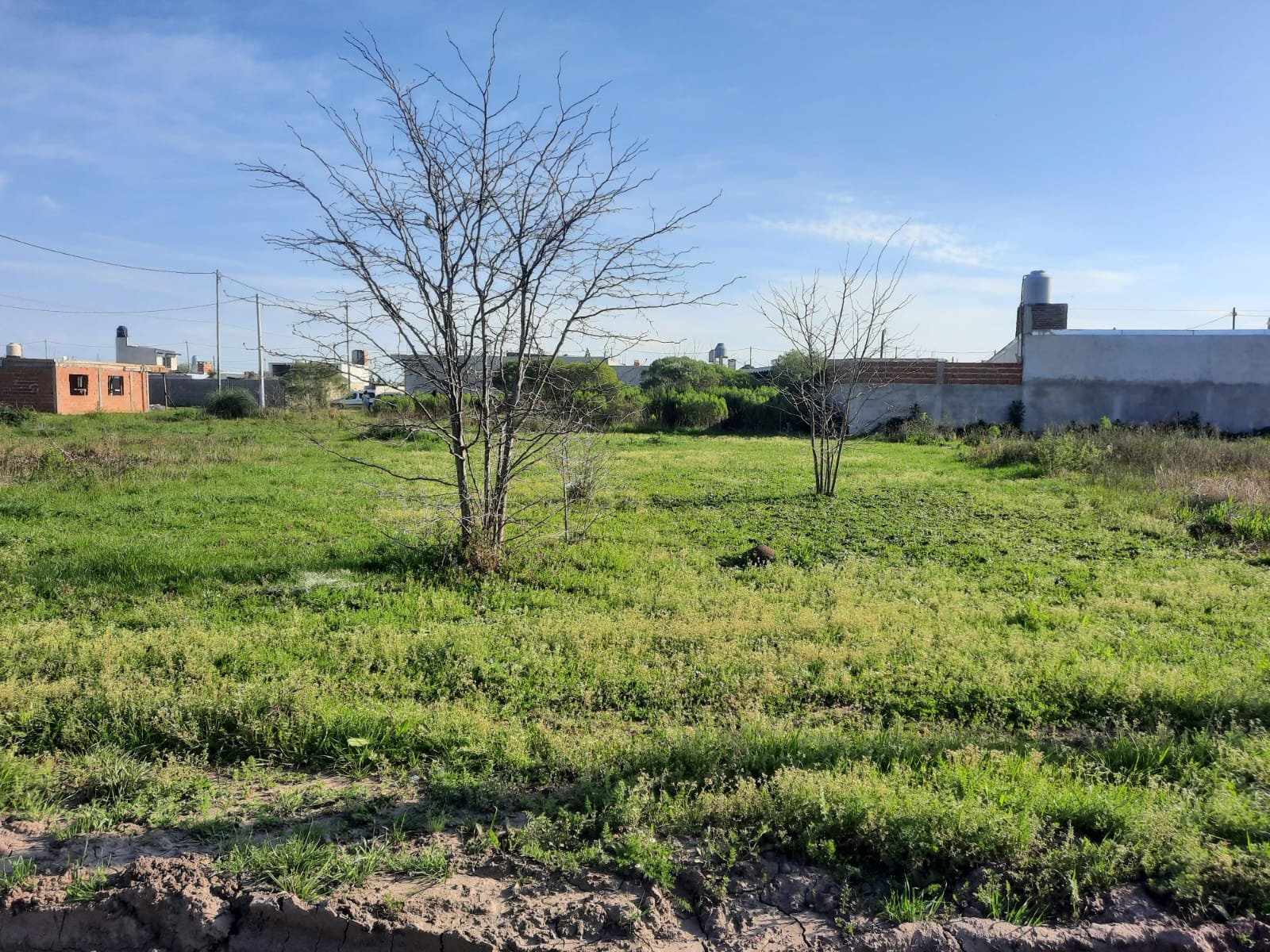 Lote/terreno