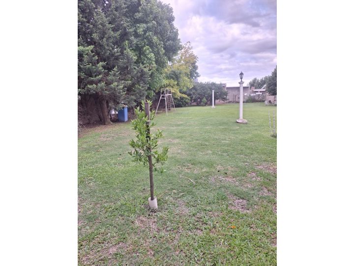 Terrenos - Roldan - Venta