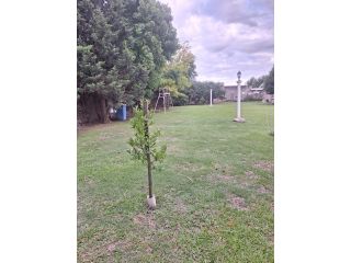 Terrenos - Roldan - Venta