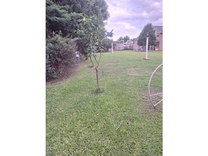 Terrenos - Roldan - Venta