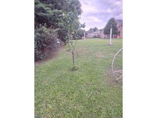 Terrenos - Roldan - Venta