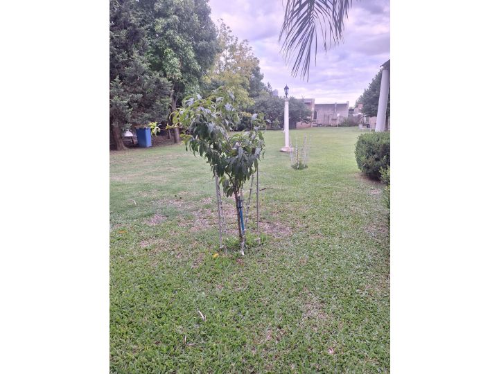 Terrenos - Roldan - Venta