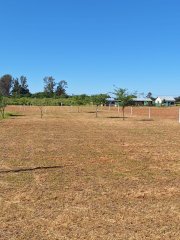 Terrenos - Iriondo - Venta