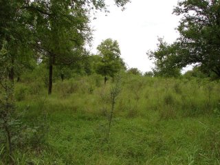 Terrenos - Otra Ciudad - Venta
