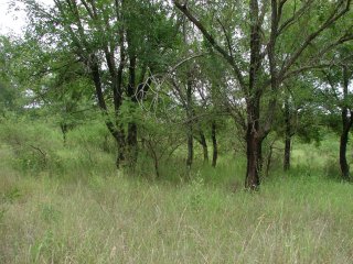 Terrenos - Otra Ciudad - Venta