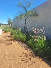 Terrenos - Funes - Venta