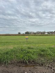 Terrenos - Ricardone - Venta