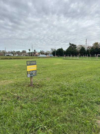 Terrenos - Ricardone - Venta