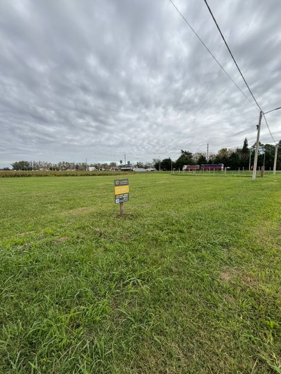 Terrenos - Ricardone - Venta