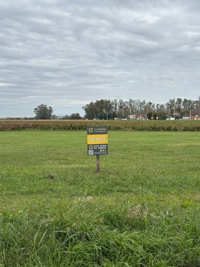 Terrenos - Ricardone - Venta