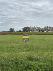 Terrenos - Ricardone - Venta