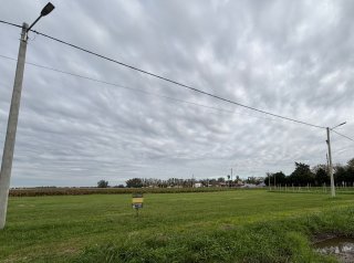 Terrenos - Ricardone - Venta