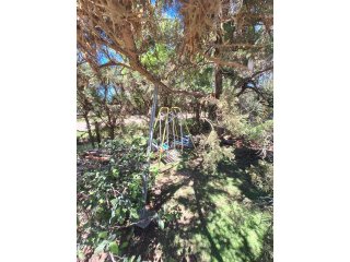 Casas - Roldan - Venta