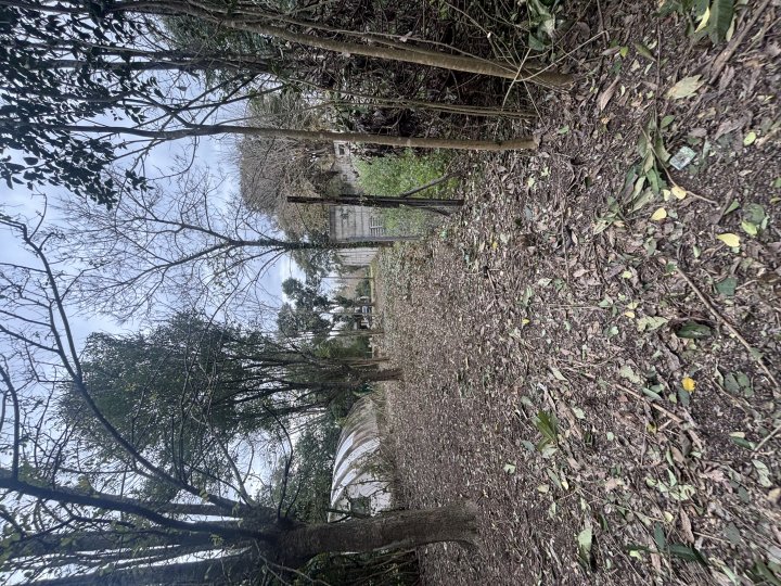 Terrenos - Iriondo - Venta
