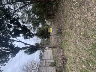 Terrenos - Iriondo - Venta