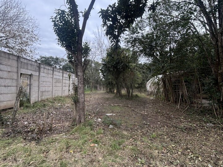 Terrenos - Iriondo - Venta