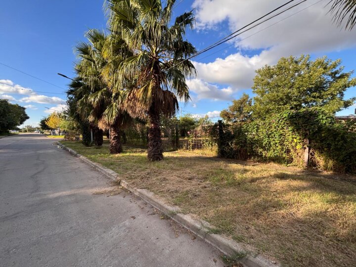 Terrenos - San Lorenzo - Venta