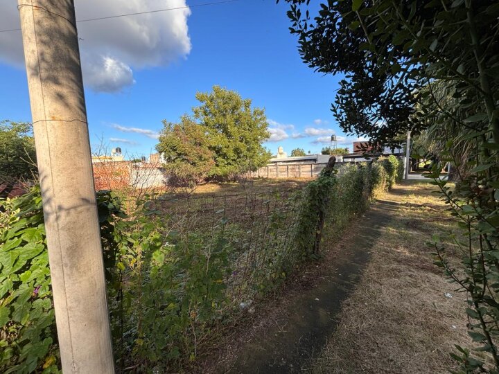 Terrenos - San Lorenzo - Venta