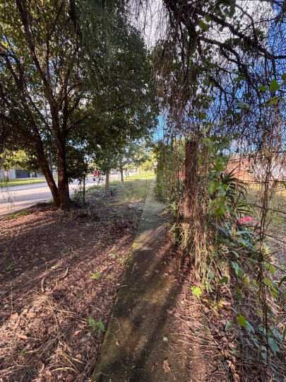 Terrenos - San Lorenzo - Venta