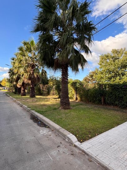 Terrenos - San Lorenzo - Venta