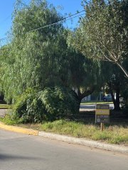 Terrenos - San Lorenzo - Venta