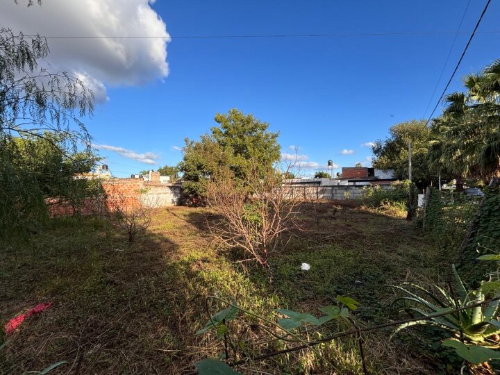 Terrenos - San Lorenzo - Venta