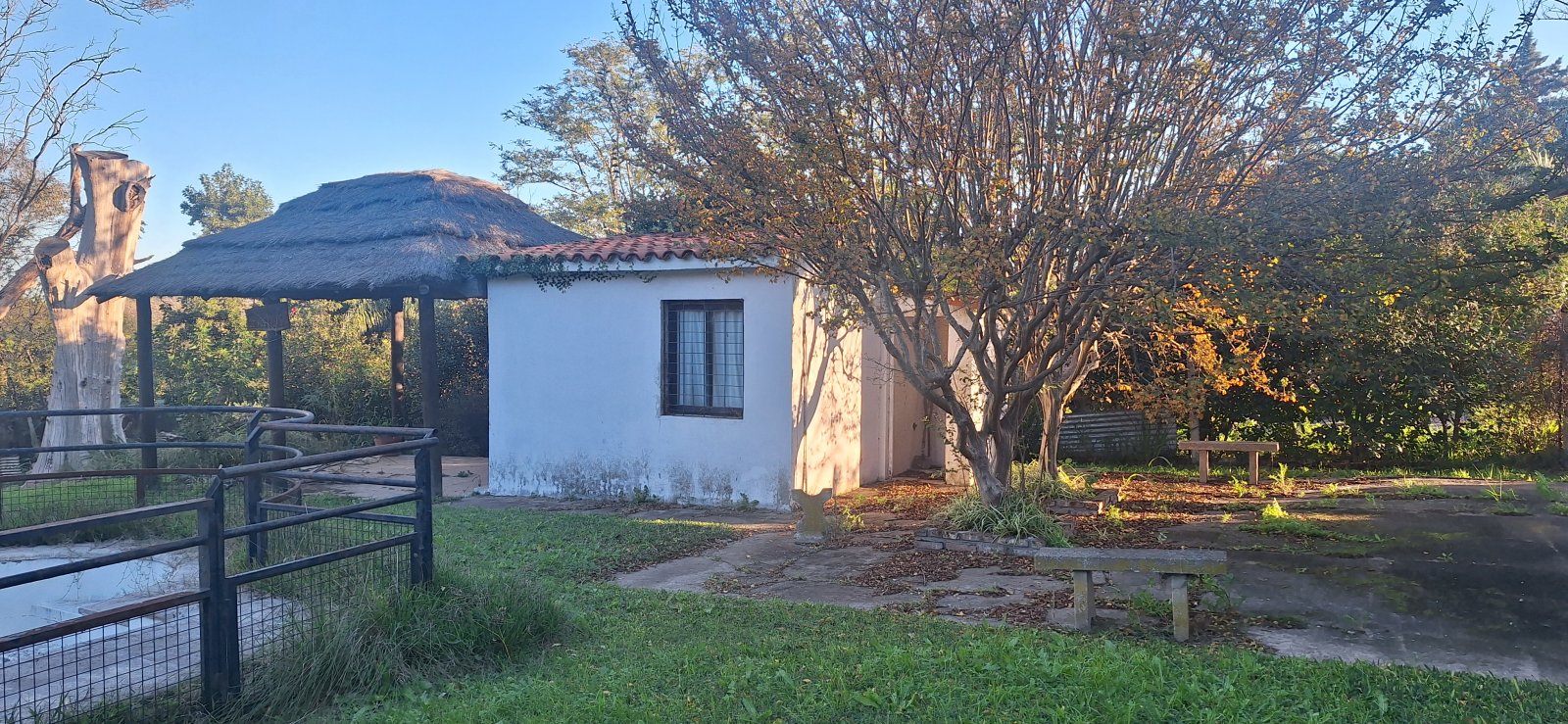 Casa de 4 Dormitorios - Gran Espacio Verde — foto 6
