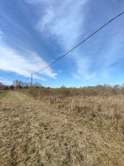 Terrenos - Iriondo - Venta