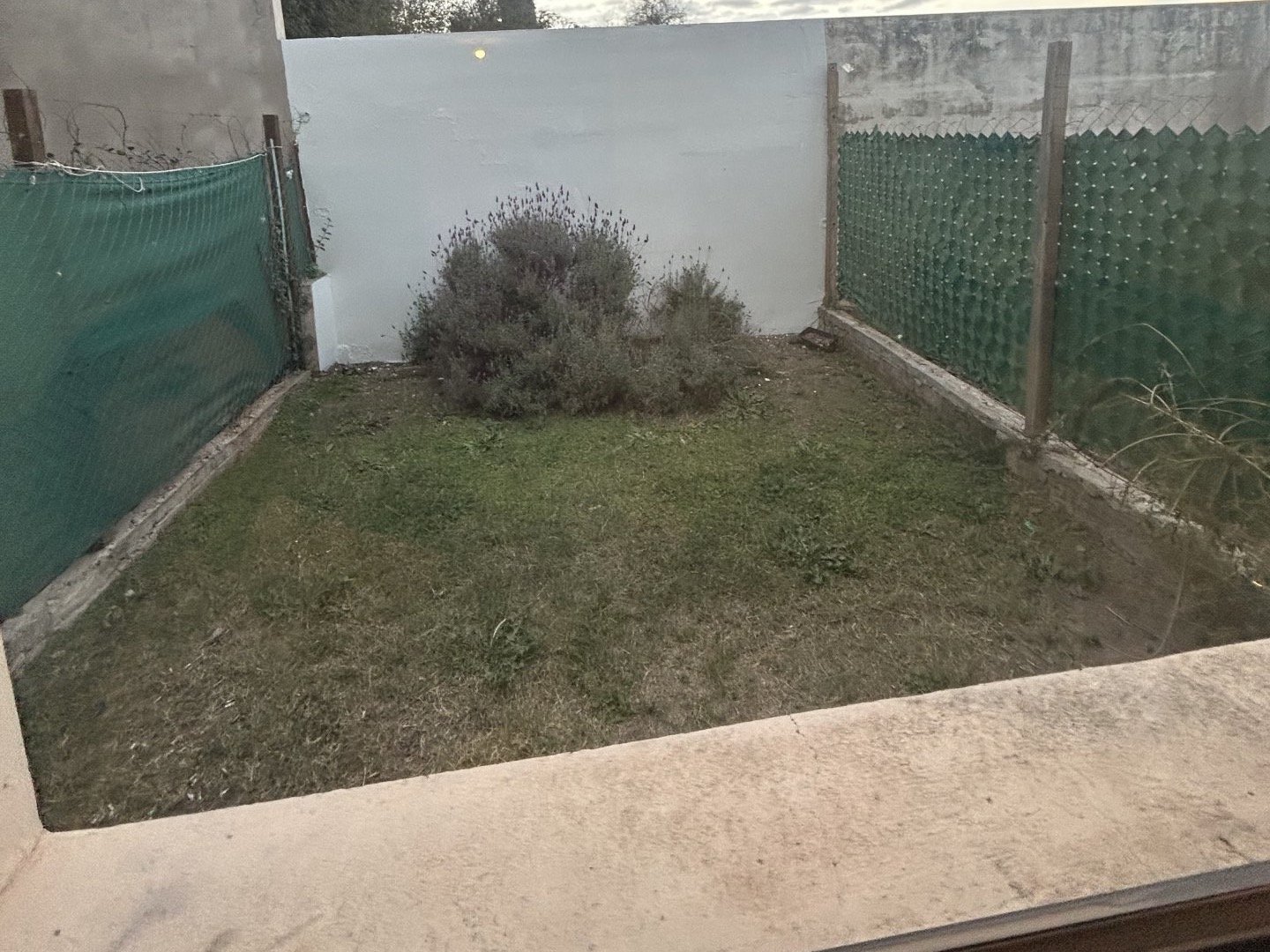 5 de 10