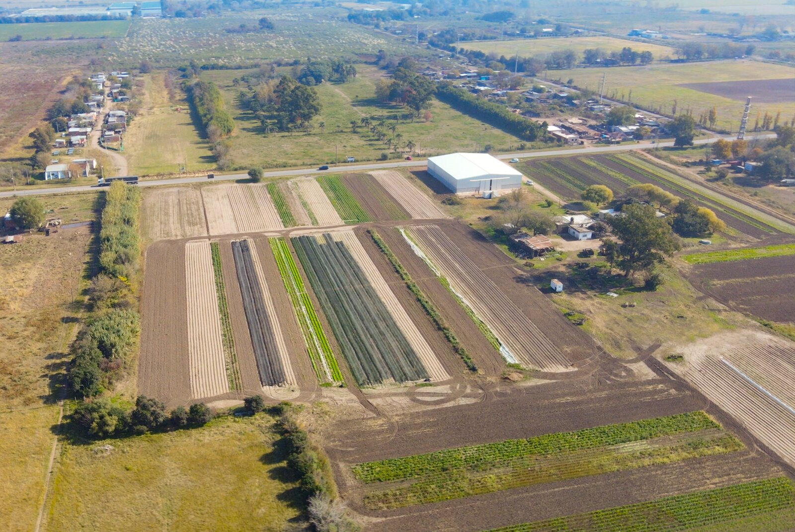 Rene Favaloro y Alfonsina Storni - Lotes 2.500 m2 - Loteo Industrial Granadero Baigorria — foto 5